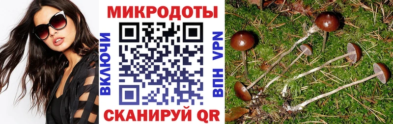 где продают наркотики  блэк спрут как зайти  Галлюциногенные грибы ЛСД  Алейск 