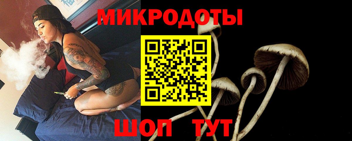 Галлюциногенные грибы мицелий  Вход с VPN  Алейск 